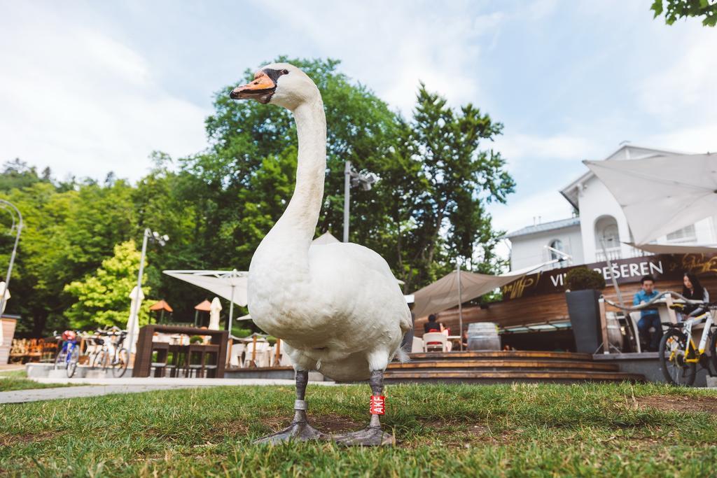 Penzion Vila Preseren Bled Bagian luar foto
